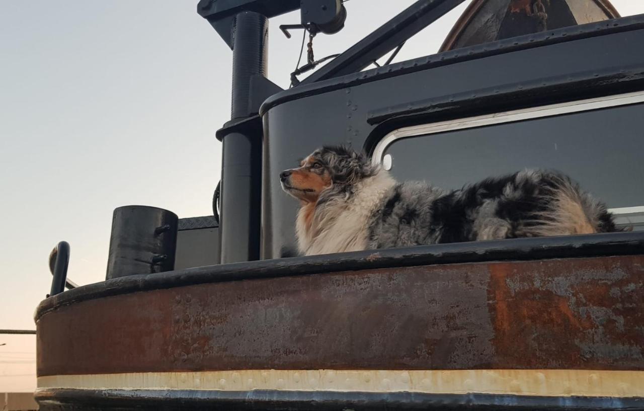 מלון אמסטרדם Euphrate Houseboat מראה חיצוני תמונה